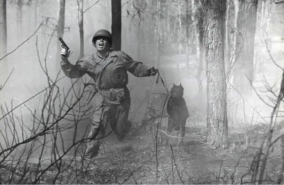 рис 1.png рис 1.png
