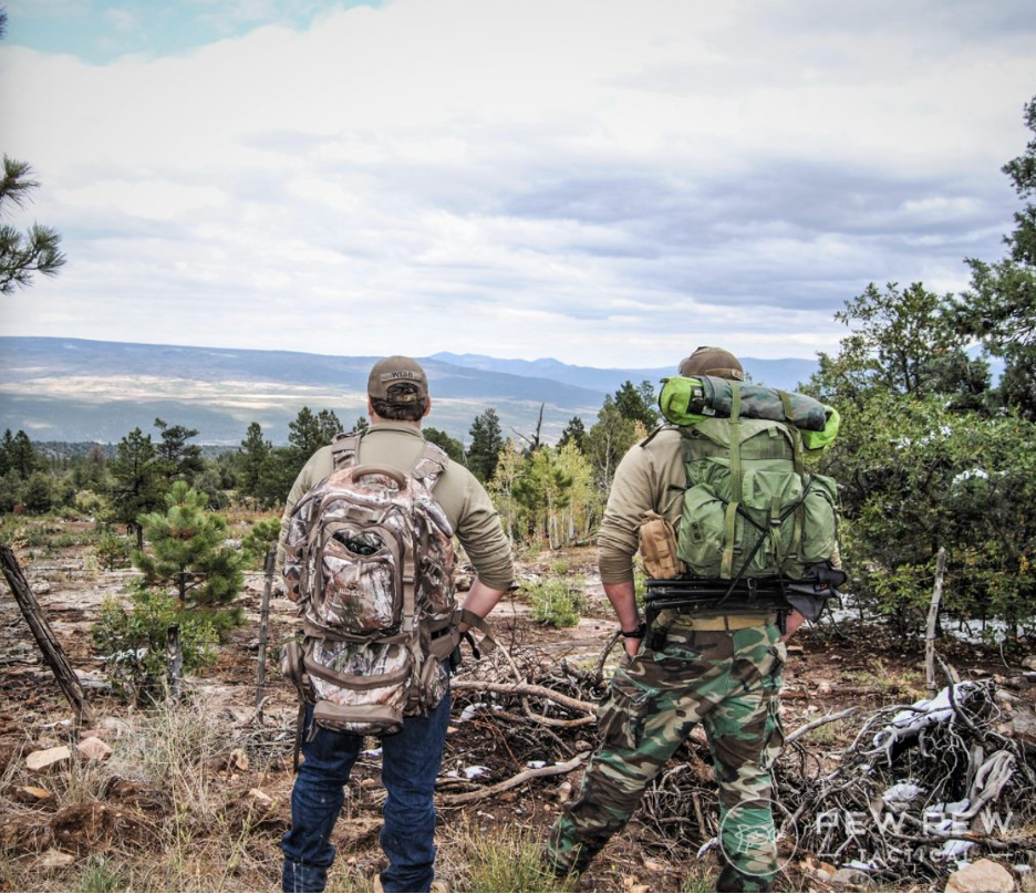 рис 9.png рис 9.png