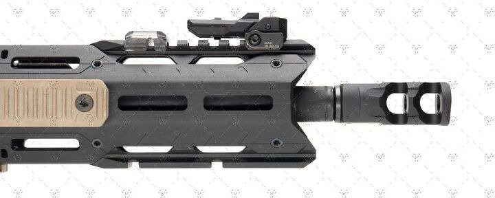 фото-1 с сайта thefirearmblog-com.jpg