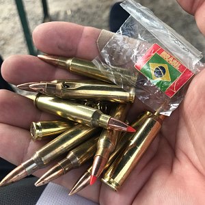 После группы стрелков остались просыпанные в спешке патроны. Здесь и экспансивные, и со стальным наконечником, и тяжелая пуля.  Всего в нескольких странах мира легально можно владеть всеми типами боеприпасов,  лежащих в руке.