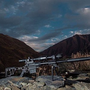 TSVL-8 M3 Берсерк