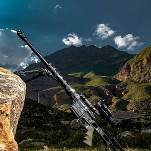 DVL-10 M3 Волкодав