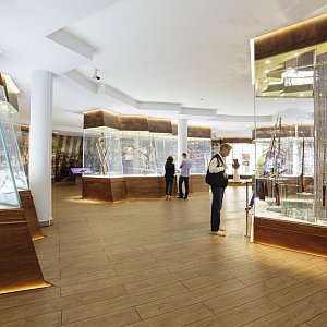 Фрагмент постоянной экспозиции Тульского государственного музея оружия.